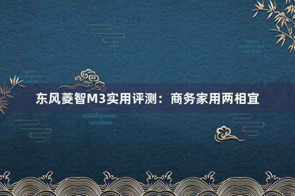 东风菱智M3实用评测：商务家用两相宜