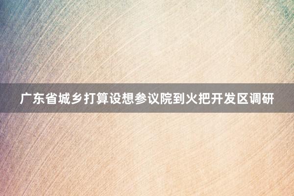 广东省城乡打算设想参议院到火把开发区调研